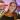 evelin.eleni user