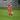 kinga.boros user