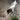 Laller95 user